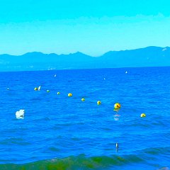 P1170192     Canneto e cigni. Prossimi all  arrivo al ristorante, pizza, albergo Aquila, h.12.45 . h.